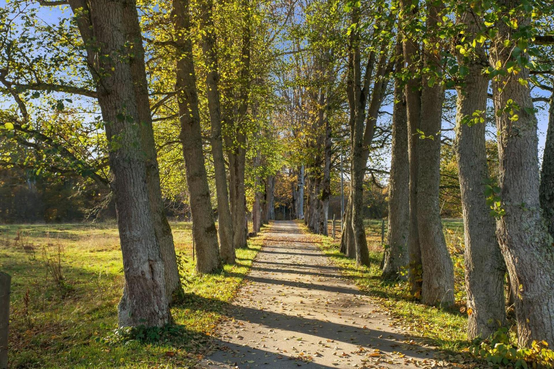 Grimsnas Herrgard Ljuder (Kronoberg) Exteriér fotografie